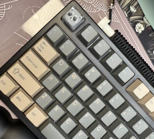 Black on Black and Gold Mechanical Keyboard - Image 6