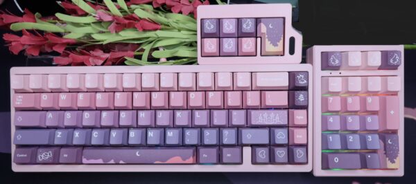 Pink Base Modified Lucky65 Keyboard Artisan Keycaps - Wireless Tri-mode - Image 6