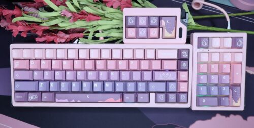 Pink Base Modified Lucky65 Keyboard Artisan Keycaps - Wireless Tri-mode - Image 8