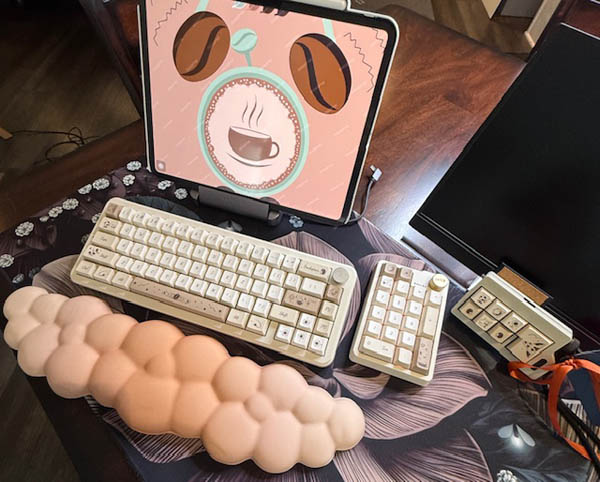 Coffee Bean Tan Theme Wireless Full Set