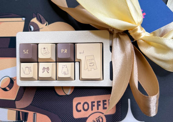 Mango Latte Fidget Tool