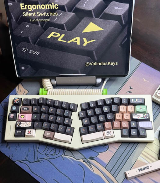 Pleyto Theme Ergonomic Silent 65% Keyboard