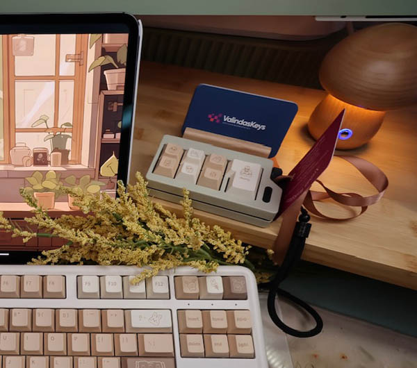 Toffee Bunny Theme Fidget Tool