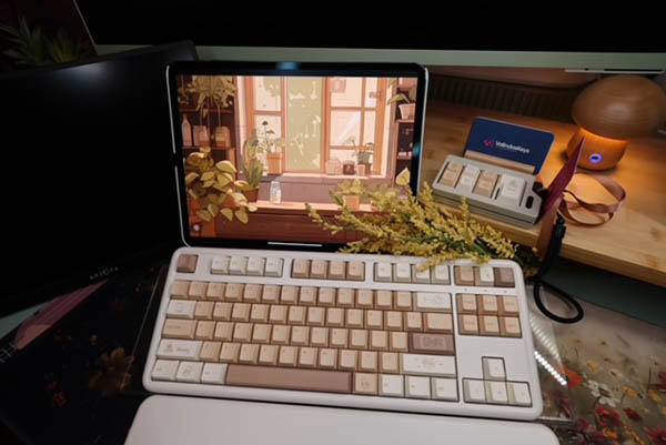 Toffee Bunny Theme Wireless Full Set