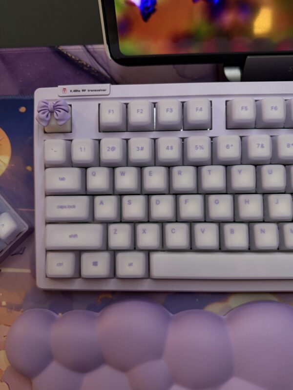 The Lavender Silicone Mechanical Keyboard Full Set - Image 4